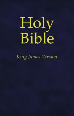 King James Version, Holy Bible